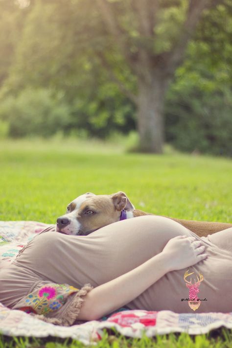 Diy Maternity Photos With Dog, Maternity Photography With Small Dog, Dogs In Maternity Photos, Maternity Photo Shoot Ideas With Pets, Maternity Photo Shoot Ideas Outdoor With Dog, Maternity With Dog Photography, Maternity Photo Shoot Ideas Dog, Maternity Pictures With Dog And Husband, Maternity Pictures Dog