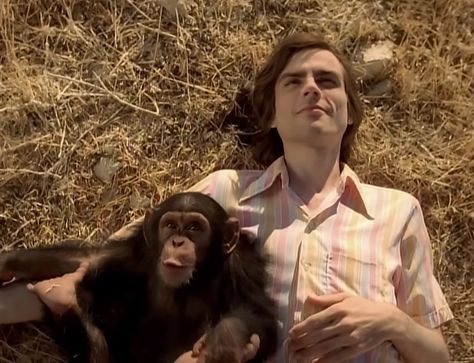 Island In The Sun Weezer, Brian Bell, Island In The Sun, Rivers Cuomo, Spike Jonze, Hair Metal Bands, Rock Videos, Sun Music, Summer Playlist