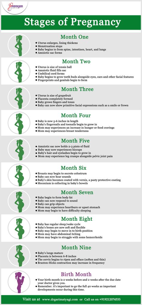 Stages of #pregnancy are divided into three trimesters. Here you'll learn about each one as we explain in detail all the exciting things happening to both you and your growing baby. #Gynae #Gynaecology #ChildBirth #Infertility Pregnant Information Tips, Baby Development Chart In Womb, Pregnancy Things To Know, Things To Know About Pregnancy, Baby Growth Chart In Womb, Pregnancy Knowledge Tips, Pregnancy Appointment Timeline, Stages Of Pregnancy Weekly, Baby Growth In Womb