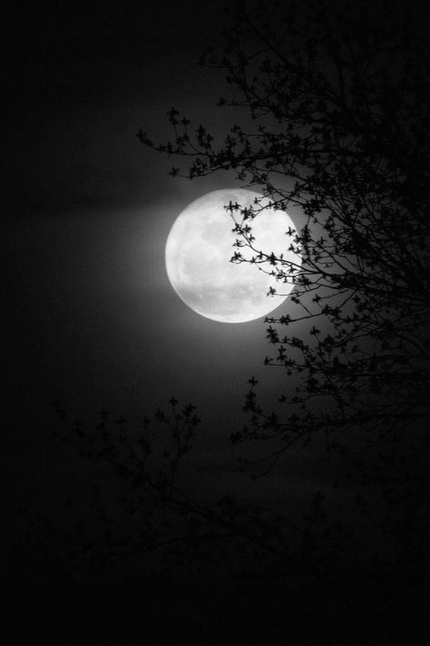 The Full Moon, Full Moon, Moon, Black And White, White, Black