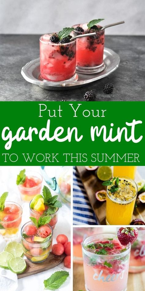 Delicious (alcoholic) Drinks That Use Mint! Minty Drinks Delicious Alcoholic Drinks| Put your Garden Mint to Work this Summer #mintydrinks #alcoholicdrinks #drinkswithmint Mint Drinks Alcohol, Non Alcoholic Drinks With Mint, Mint Alcoholic Drinks, Mint Julep Recipe Non Alcoholic, Creative Alcoholic Drinks, Goodies Recipes, Bbq Drinks, Julep Recipe, Cherry Drink