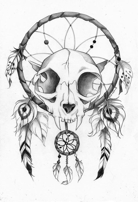 Dream catcher Spooky Dream Catcher Tattoo, Gothic Dream Catcher Tattoo, Tattoo Ideas Dream Catcher, Skull Dream Catcher, Dreamcatcher Drawing, Dream Catcher Drawing, Bear Skull, Dream Catcher Art, Dream Catcher Tattoo