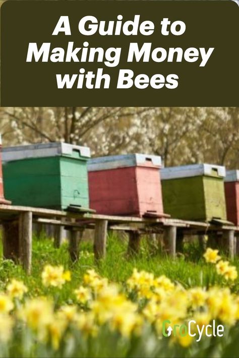 Beekeeping for Profit: A Guide to Making Money with Bees Subsistence Farming, Backyard Bee, Raising Bees, Animals Crafts, Homestead Ideas, Additional Income, Vegetable Garden Design, Fruit Garden, Community Gardening