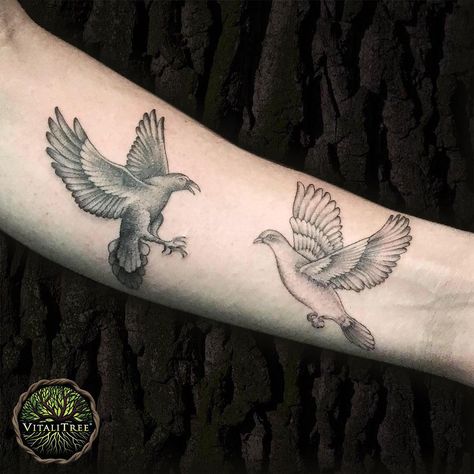 When dark meets light in the form of birds, the delicate dance of yin and yang stays eternally on this forearm as described by these words. Simple and beautiful #realistictattoo design by @jershtattoos_ from West Hollywood, California.⠀ ⠀ #birdtattoo #birdstattoo #birdtattoos ⠀ #blackworkers #blackink #forearmtattoo #bngtattoo #blackandgreytattoos #blackink #greywash #blackworkers #dotworktattoo #birdart #armtattoo #spiritanimal⠀ ⠀ #DontFlipOutFlipTheLid ➕ #SalveItBeforeYouStabIt 🌿 #VitaliTreeT Crow Tattoo Meaning, Dove Tattoo Meaning, Tattoo Dove, Jade Tattoo, Tattoo Bible, Rabe Tattoo, Modern Tattoo Ideas, Tattoos Masculinas, Olive Branch Tattoo