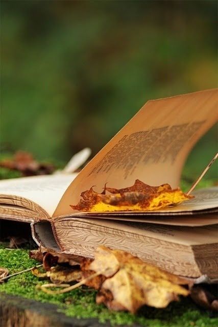 Somerset Maugham, An Open Book, Autumn Beauty, Open Book, Old Books, I Love Books, Autumn Day, Love Book, Somerset