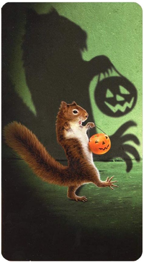 Boys Posters, Halloween Greeting Card, Halloween Greetings, Vampire Bat, Halloween Card, Chipmunks, Halloween Cards, Halloween Season, Happy Fall