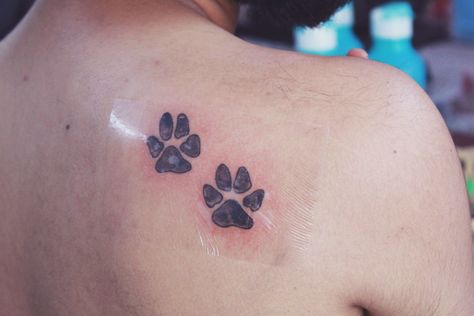 Dog,pet,paw,black work,animal,love,shoulder blade,tattoo Paws Tattoo Ideas, Cat Print Tattoo, Paws Tattoo, Mandala Tattoo Ideas, Paw Tattoos, Cat Paw Tattoos, Cute Shoulder Tattoos, Shoulder Blade Tattoo, Bear Paw Print