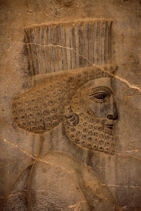 Ancient Persian Art, Persian Warrior, Persian People, Cyrus The Great, Shiraz Iran, Iran Culture, Iran Pictures, Ancient Persia, Ancient Persian