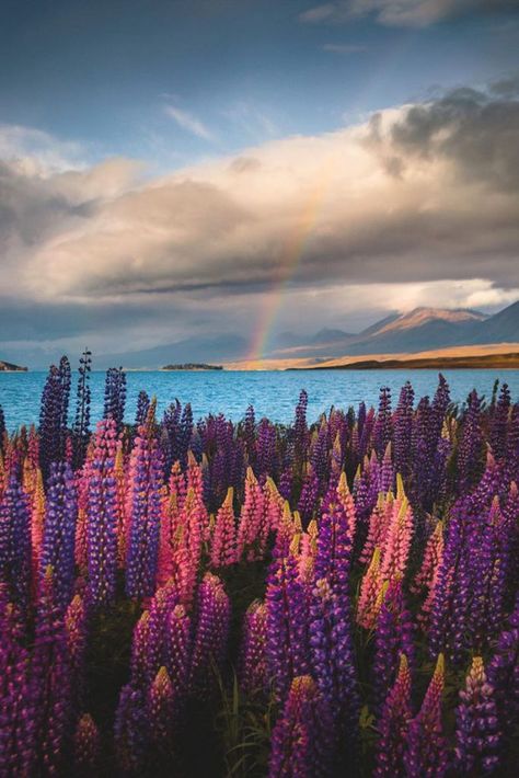 New Zealand Landscape, New Zealand South Island, Happy Earth, Before Sunset, New Zealand Travel, South Island, Ocean Inspiration, Vacation Destinations, Travel Destinations