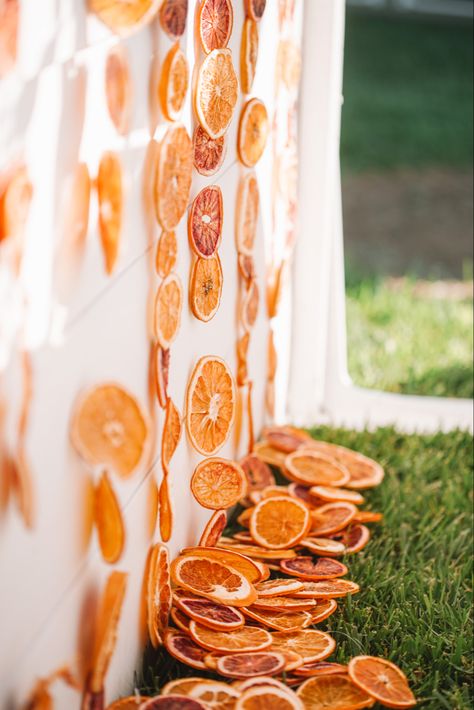 Dried Orange Backdrop, Sunset Spritz Party, Aperol Spritz Bridal Shower Theme Backdrop, Citrus Garden Party, Citrus Photo Backdrop, Citrus Bridal Shower Backdrop, Wedding Aperol Spritz, Citrus And Sunset Bridal Shower Theme, Aperol Spritz Party Decorations