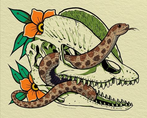 Dilophosaurus Skull, Western Hognose, Western Hognose Snake, Hognose Snake, Dinosaur Tattoos, Cute Reptiles, Snake Art, Paleo Art, Skull Drawing