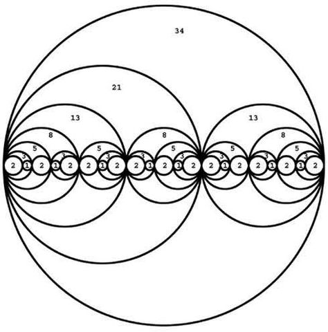 fibonacci sequence in circles Fibonacci Flower, Golden Ratio In Design, Fibonacci Number, Spiral Logo, Fibonacci Golden Ratio, Mathematics Geometry, Circle Map, Divine Proportion, Sacred Geometry Tattoo