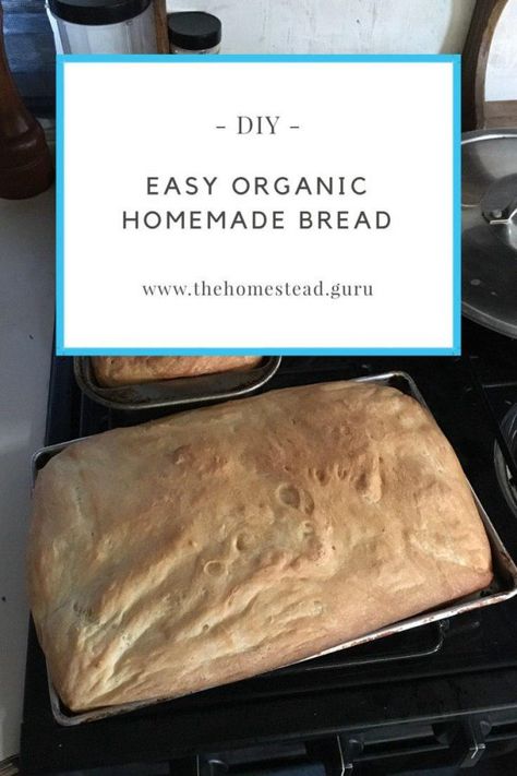 Easy Organic Homemade Bread Recipe • Homestead Guru How To Make Healthy Bread At Home, Organic Bread Recipe, Healthy Organic Recipes, Organic Dinner Recipes, Healthy Homemade Bread, Healthier Dinners, Make Your Own Bread, Chicken And Gravy, Homemade Bread Recipe