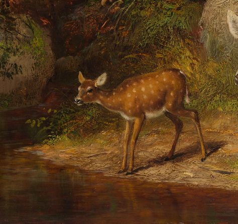 https://flic.kr/p/byjR2u | Arthur Fitzwilliam Tait - ‘Doe and Two Fawns’ (detail) 1882 | High Resolution  Arthur  Fitzwilliam Tait [American wildlife artist 1819 – 1905] Oil on board The Metropolitan Museum of Art , NY  Biography: <a href="http://en.wikipedia.org/wiki/Arthur_Fitzwilliam_Tait" rel="nofollow">en.wikipedia.org/wiki/Arthur_Fitzwilliam_Tait</a> American Wildlife, Metropolitan Museum Of Art, Metropolitan Museum, Museum Of Art, On Board, Deer, Resolution