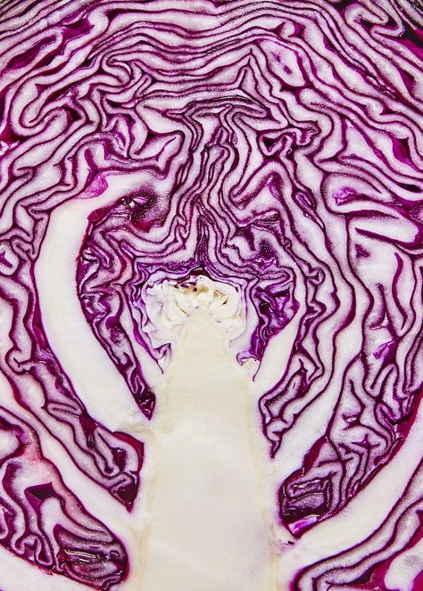 Foto Macro, Purple Food, Purple Fruit, Food Texture, Purple Cabbage, New Fruit, Art Texture, All Things Purple, Red Cabbage