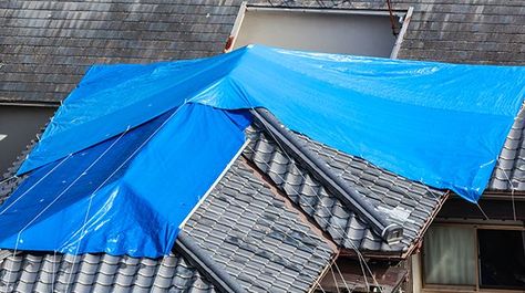 See how to stop your roof from leaking during severe weather. Roof Leak, Leaky Roof, Roof Repair, Severe Weather, Water Damage, The Roof, In The Rain, The Rain, Outdoor Gear