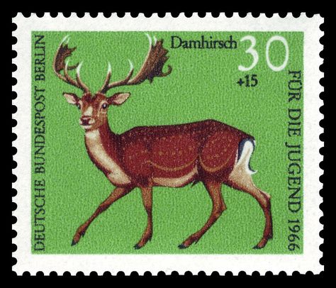 Art - Stamp Art - Animal - German - Damhirsch | by Vintageprintable1 Germany Stamp, Animals With Horns, German Stamps, Fallow Deer, Commemorative Stamps, Deer Art, Vintage Postage Stamps, Vintage Printable, Letter Stamps