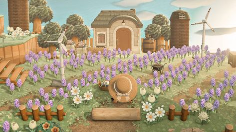 Acnh Garden Cottagecore, Acnh Countryside Theme, Acnh Diagonal Flower Field, Acnh Daisy Yard, Flower Farm Acnh, Acnh Lavender Fields, Star Lake Animal Crossing, Acnh Flower Garden, Acnh Flower Gardens