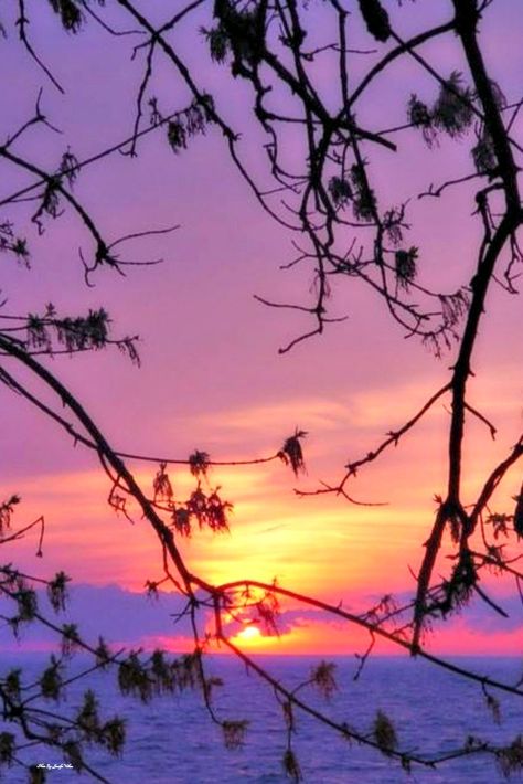 Lavender Sky, Purple Yellow Aesthetic, Purple And Yellow Aesthetic, Sunset Purple Aesthetic, Pink Purple Blue Sunset, Purple And Yellow Sunset, Pink And Purple Sunset, Blood Red Moon, Purple Pink Skies