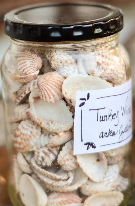 Apothecary Seashell Jars With Free Printable Seashell Printable, Sea Shell Collection, Collecting Shells, Seashell Display, Jar Display, Thrifty Decor Chick, Furniture Fix, Savvy Southern Style, Funky Junk Interiors