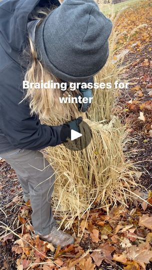 Grass Braiding, How To Braid Ornamental Grasses, Braided Grass Plants, Snow Builds, Tall Grass Landscaping, Braided Ornamental Grasses, Alexandre Desplat, Braiding Ornamental Grasses, Ornamental Grass Landscape