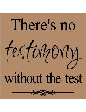 There's no testimony without the test Lds Quotes, Jesus Christus, Inspirational Thoughts, The Test, Quotable Quotes, Faith Quotes, Great Quotes, Spiritual Quotes, Christian Quotes