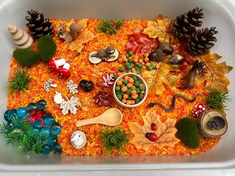 Forest Sensory Bin, Autumn Sensory Bin, Fall Sensory Bin, Frog Activities, Fall Sensory, Forest Animals Theme, Tiny Mushroom, Fall Stem, Tuff Tray