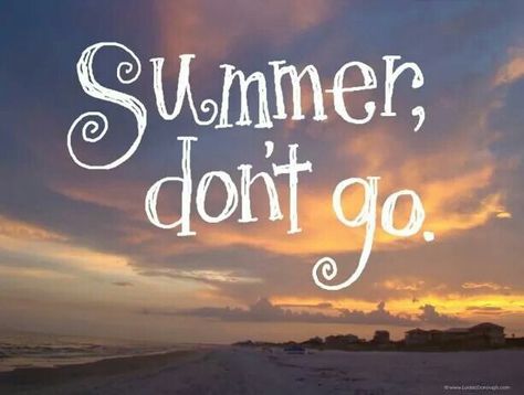 End is near... 😡😮 Pretty Please, I Love The Beach, Beach Quotes, Summer Quotes, Summertime Fun, Summer Bucket Lists, End Of Summer, Endless Summer, Summer Of Love