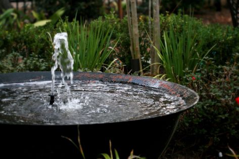 The Ever-Popular Sugar Kettle! | These 3 were taken around a… | Flickr Sugar Kettle Fountain, Pot Water Fountain, Bowl Fountain, Sugar Industry, Fountain Ideas, Diy Water Feature, Diy Water Fountain, Herb Garden Design, Home Gardens