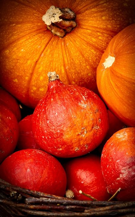 Pumpkin, Hokkaido, Orange, Autumn, Vegetables, Food Autumn Vegetables, Japan Images, Vegetables Food, Japan Image, Orange Autumn, Hokkaido Japan, Free Photo, Free Photos, Fall Colors