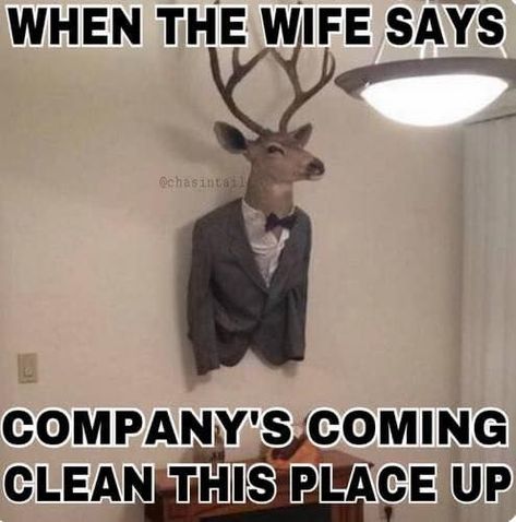 Deer Jokes Humor Hilarious, Deer Hunting Memes Humor, Funny Hunting Memes Hilarious, Funny Deer Hunting Quotes, Deer Hunting Memes, Hunting Meme, Christmas Peeps, Funny Hunting Pics, Hunting Quotes Funny