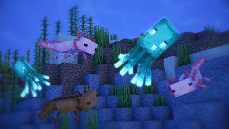 Minecraft Axolotl Aesthetic, Cute Minecraft Axolotl, Minecraft Axolotl Wallpaper, Minecraft Glow Squid, Aesthetic Axolotl, Axolotl Wallpaper, Glow Squid, Minecraft Poster, Minecraft Axolotl