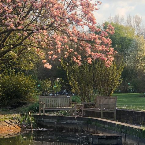 Spring Summer Astethic, Mid Spring Aesthetic, Springtime Aesthetic Nature, Spring Aestethic Nature, Romantic Spring Aesthetic, Spring Season Aesthetic Nature, Fresh Spring Aesthetic, Cool Spring Aesthetic, New England Spring Aesthetic