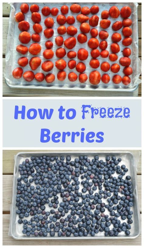 How to freeze berries, including strawberries, blueberries, raspberries or blackberries with this easy tutorial. Great hack to save money on produce. Buy in-season fruit in bulk, freeze, and enjoy delicious berries year round.  #kitchenhack Practical Garden, Blueberry Recipes, Summer Berries, Freezer Cooking, Cheap Eats, Frozen Fruit, Delicious Fruit, Fresh Berries, Kitchen Tips