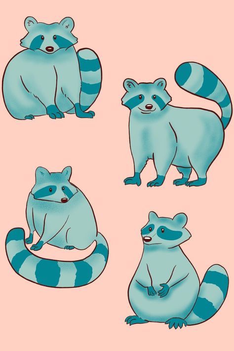 Poses For Drawing Reference, Pink Background Simple, National Wildlife Day, Poses For Drawing, Aesthetic Art Drawing, Raccoon Drawing, Animal Infographic, Raccoon Illustration, Raccoon Tattoo