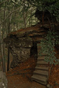 My inner landscape Stairs In The Woods, Inner Landscape, Motivational Inspiration, Prescott Az, North Vancouver, San Diego County, Landscape Nature, Inspiration Quotes, In The Woods