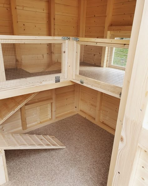 Rabbit Outdoor House Ideas, Bunny Shed Ideas, Guinea Pig Shed Ideas, Rabbit Shed Ideas Outdoor, Outdoor Guinea Pig Enclosure, Rabbit Shed Ideas, Rabbits Enclosure, Rabbit Enclosure Outdoor, Bunny House Outdoor