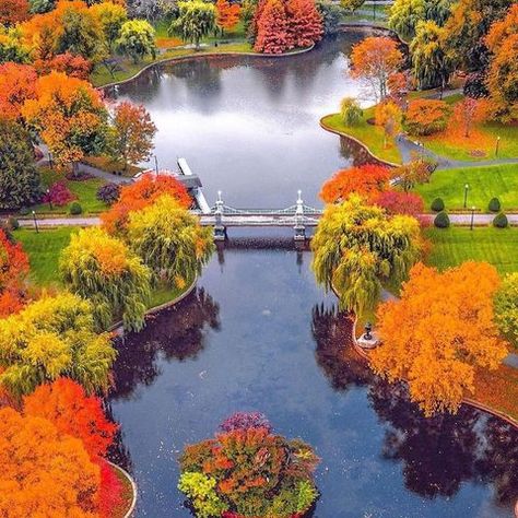 All Posts • Instagram Fall River Massachusetts, Boston Garden, Boston Public Garden, Happy Autumn, Boston Usa, First Day Of Fall, Leaf Peeping, Nature Hd, Back Bay