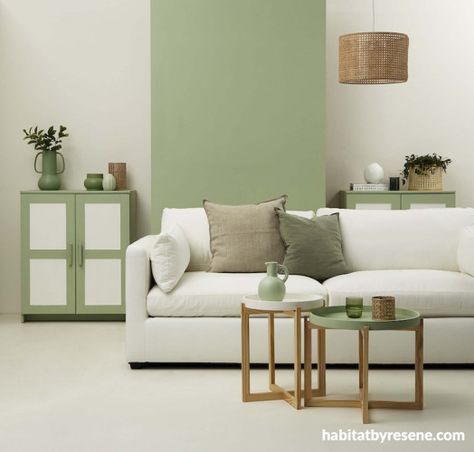 Pastel Green Accent Wall, Wall Mint Green, Resene Interior Paint Colours 2020, Resene Interior Paint Colours, Bedroom Painting Ideas, Dining Room Feature Wall, Green Bedroom Paint, Habitat By Resene, Cat Tembok