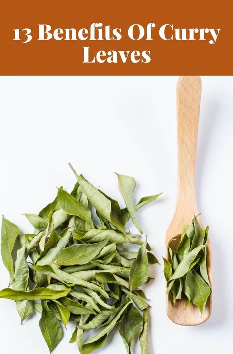 13 Benefits Of Curry Leaves Curry Benefits, Curry Leaves Recipes, Curry Leaves Benefits, Curry Tree, Benefits Of Curry, Curry Leaf Plant, Leaf Health, Herbal Leaves, Herbs For Healing