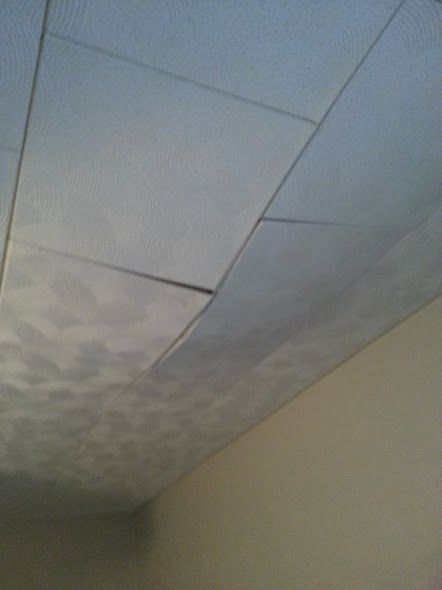 enter image description here How To Replace Ceiling Tiles, Ceiling Tile Replacement Ideas, Replace Ceiling Tiles, Acoustic Tile Ceiling Makeover, How To Paint Ceiling Tiles, Replacing Ceiling Tiles, Tiles Makeover, Painting Ceiling Tiles, Ceiling Tiles Diy