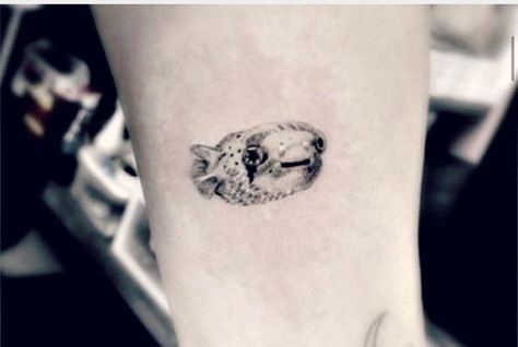 Boxfish Tattoo, Pufferfish Tattoo, Puffer Fish Tattoo, Jay Tattoo, Beach Tattoos, Octopus Tattoos, Amazing Tattoos, Beach Tattoo, Thigh Tattoos