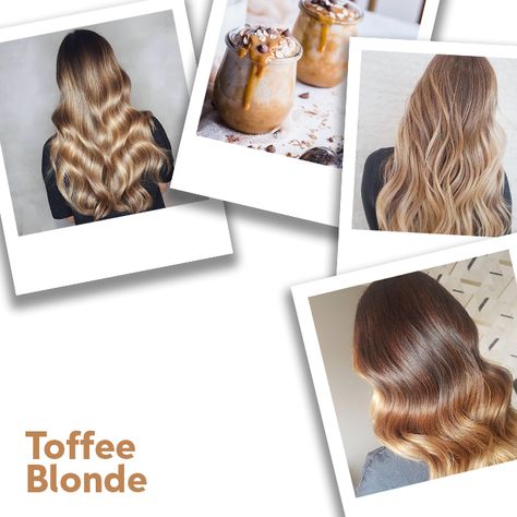 Toffee Blonde Hair, Toffee Blonde, Teddy Bear Blonde, Hair Formulas, Baby Blonde Hair, Haircolor Ideas, Sandy Blonde Hair, Golden Brown Hair Color, Hair Cut Guide