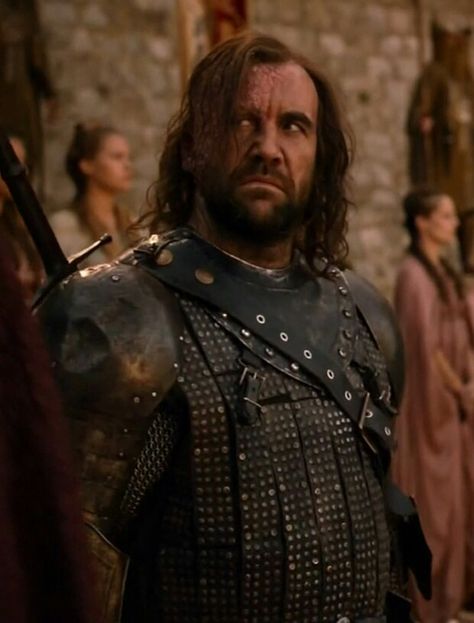 "The Hound" Sandor Clegane The Hound Got, Game Of Thrones The Hound, Sandor Clegane, Game Of Thrones Sansa, Rory Mccann, Valar Dohaeris, Game Of Thrones Tv, Song Of Ice And Fire, The Hound