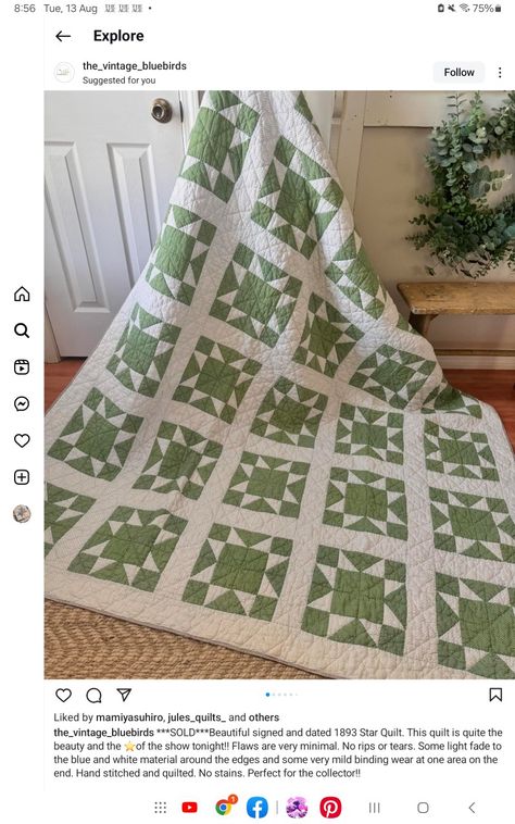 Green And White Quilt, Sage Green Quilt, Quilting Stars, Amish Quilt Patterns, Green Quilts, Fun Quilts, Amish Quilt, Two Color Quilts, Black And White Quilts