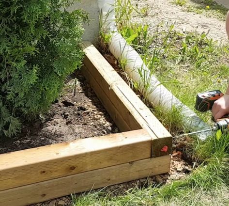 Make a DIY easy cheap garden bed edge anyone can do Wood Landscape Edging, Garden Bed Edging, Garden Edging Ideas Cheap, Wood Garden Edging, Cheap Garden Beds, Flower Bed Borders, Flower Bed Edging, Diy Garden Bed, Raised Flower Beds