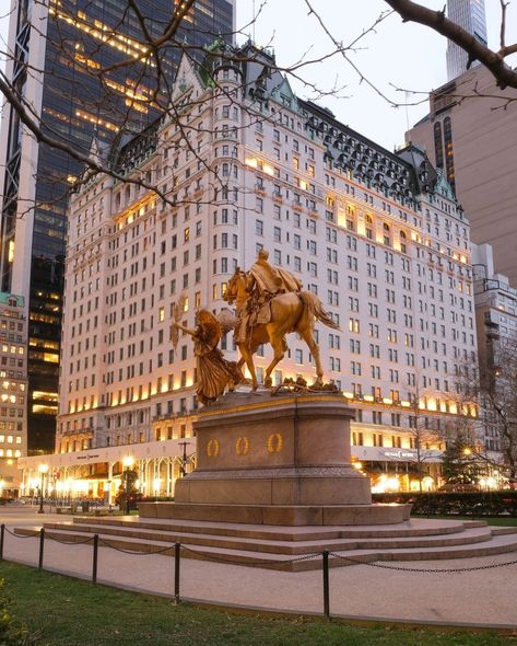 The Plaza Hotel NYC The Plaza New York, Plaza Hotel New York, The Plaza Hotel Nyc, Nyc Projects, Fall Nyc, Nyc Architecture, New York Projects, New York City Christmas, Central Park Nyc