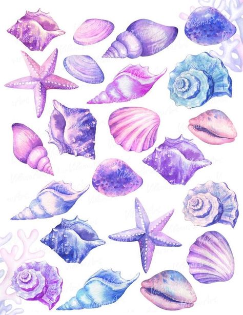 Seashell Clipart, Watercolor Seashells, Conch Shells, Watercolor Clip Art, Clip Art Png, Scrapbook Stickers Printable, Sea Star, Arte Inspo, Arte Sketchbook