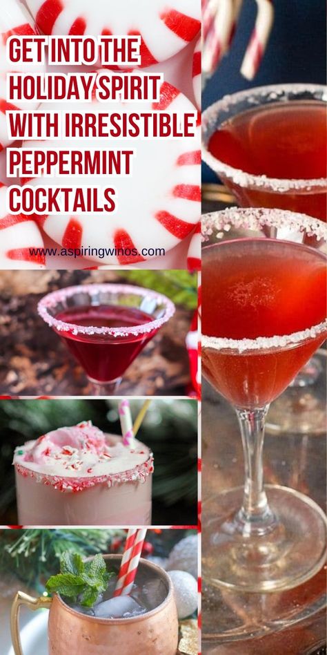 Peppermint Cocktails | Get into the Holiday Spirit with Irresistible Peppermint Cocktails | Christmas Cocktails | Holiday Cocktails | Peppermint Infused Cocktails #Cocktails #Peppermint #PeppermintCocktails #Chirstmas #Holidays #ChristmasCocktails #HolidayCocktails Cranberry Peppermint Cocktail, Easy Holiday Adult Beverages, Peppermint Snapps Drinks Recipes, Pepermint Vodka Cocktails, Chocolate Peppermint Cocktail, Holiday Cocktails Peppermint, Peppermint Moonshine Drinks, Peppermint Mocktail Recipe, Peppermint Rimmed Drinks