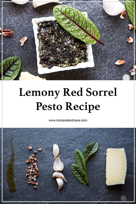 Red Veined Sorrel Recipes, Sorrel Recipes, Sorrel Recipe, Red Sorrel, Greens Recipes, Cilantro Pesto, Foraging Recipes, Kale Pesto, European Recipes